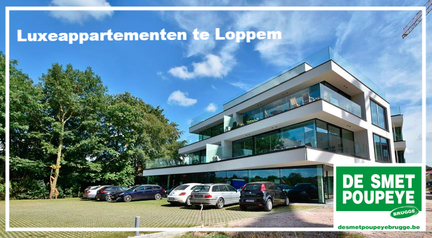 Nieuwbouwproject met appartementen en kantoorruimtes 