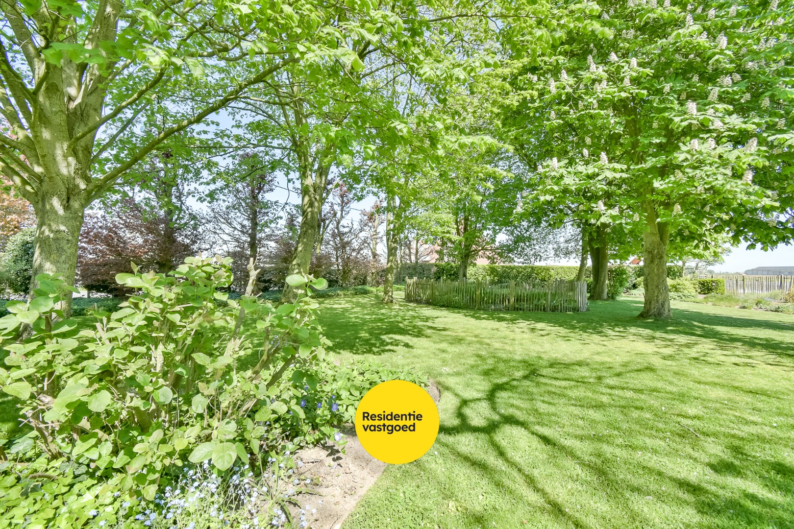 KIJKDAG zaterdag 9 mei van 10u tot 12u, op afspraak! 