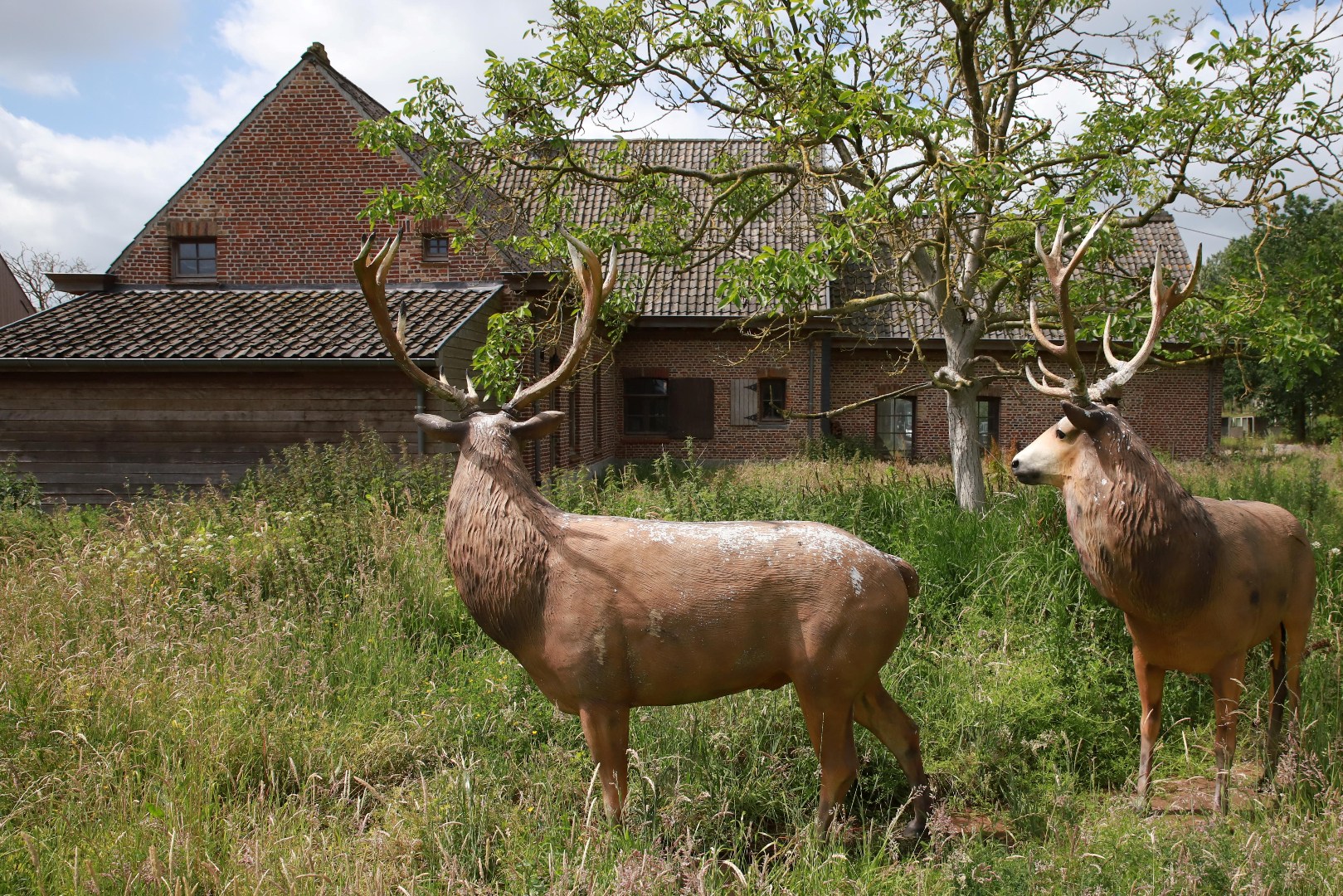 Authenthieke hoeve met bijgebouwen op een domein van ca 2,3 hectare 