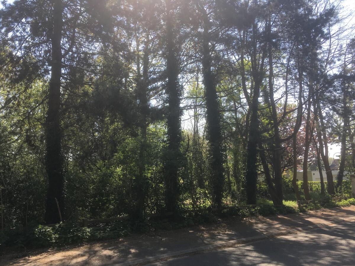 Perceel bouwgrond 748 m2  (Half Open Bebouwing). 