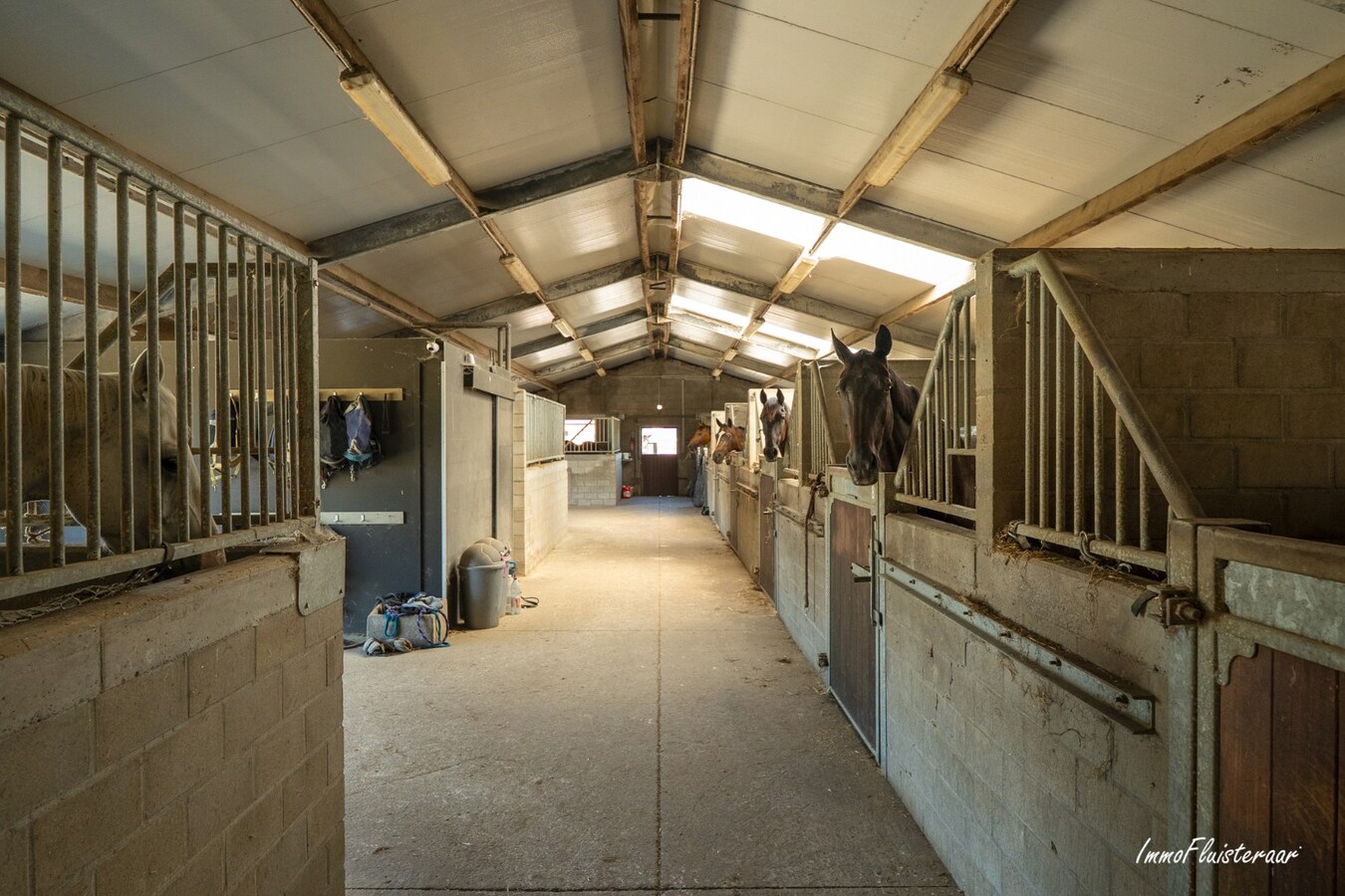 Unieke eigendom met paardenaccommodatie op 33.647 m² in Menen 