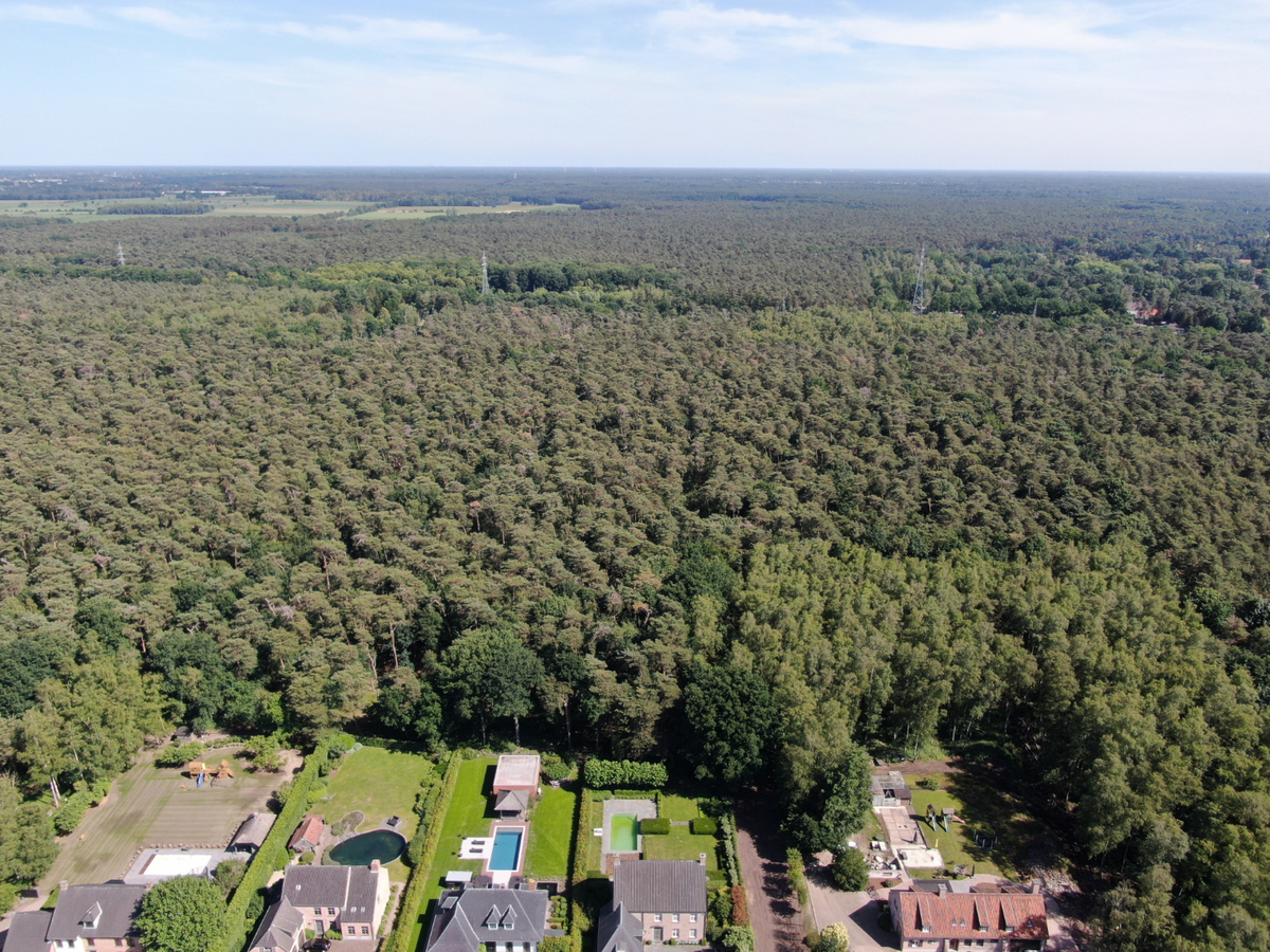 Uitzonderlijk rustig gelegen perceel van 2.500 m² met privé oprijlaan van ca. 60 m grenzend aan natuurgebied te Brecht. 