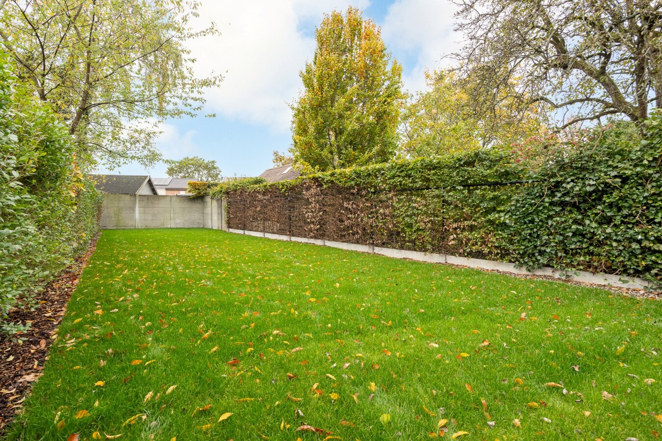 Energiezuinige instapklare woning met 4 slaapkamers en bijgebouw in hartje Schilde 