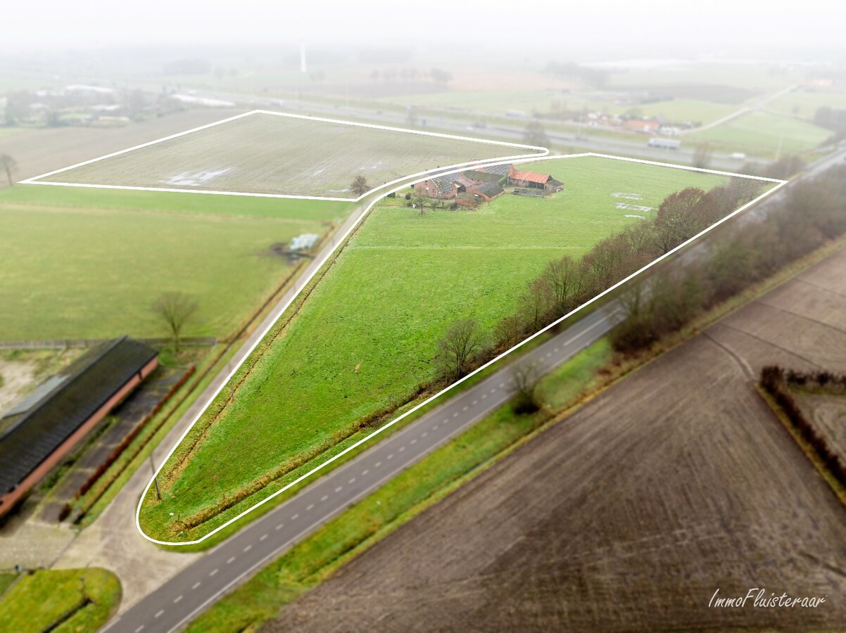 Ferme caractéristique avec une grande grange sur environ 2 hectares à Hoogstraten (achat de terrain supplémentaire d'environ 4 hectares possible). 
