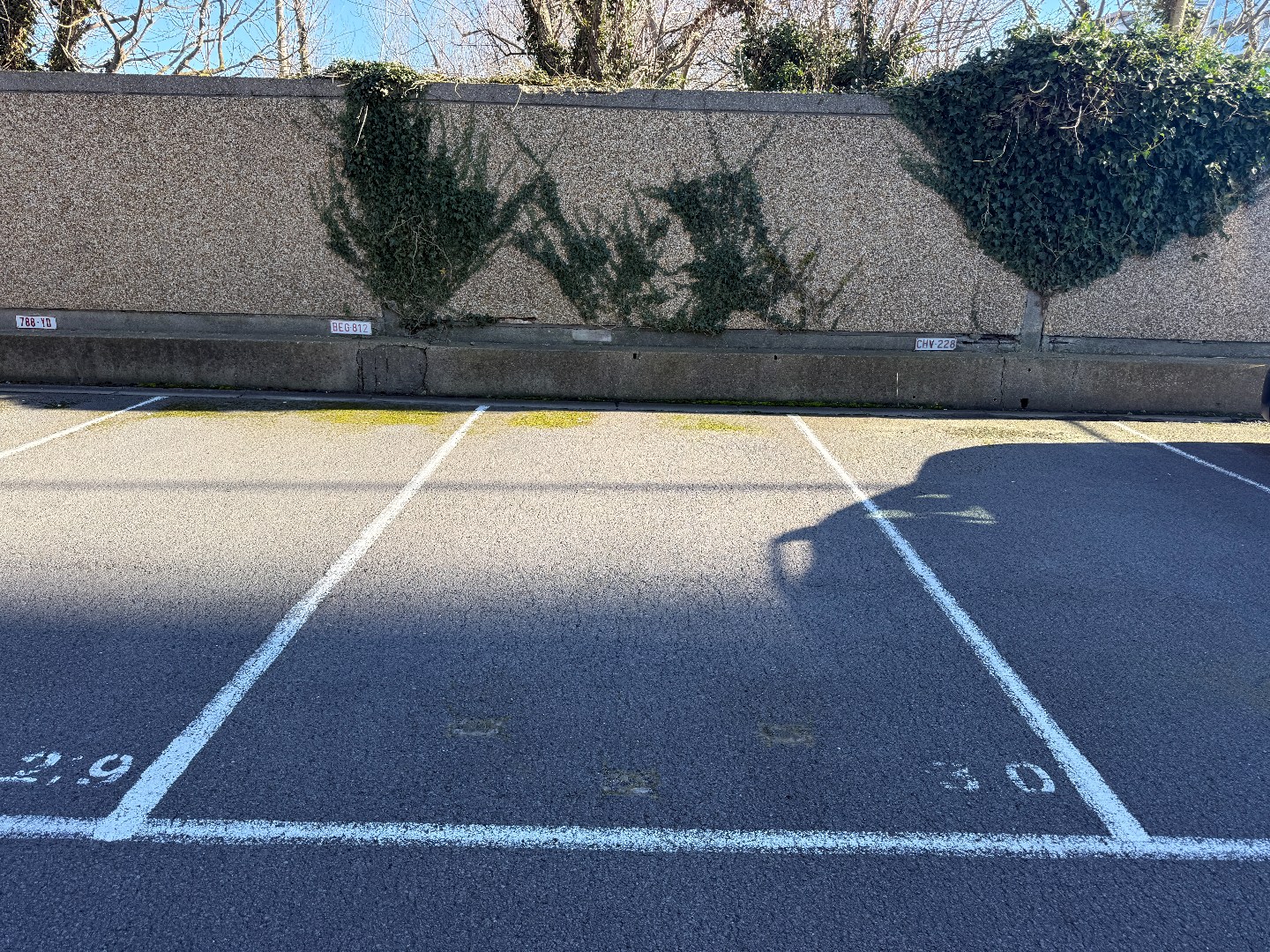 BUITENSTAANPLAATS VLAKBIJ ZEEDIJK 