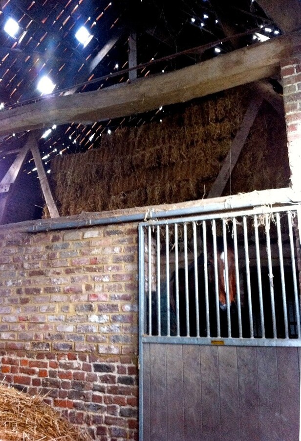 Property sold in Ogy