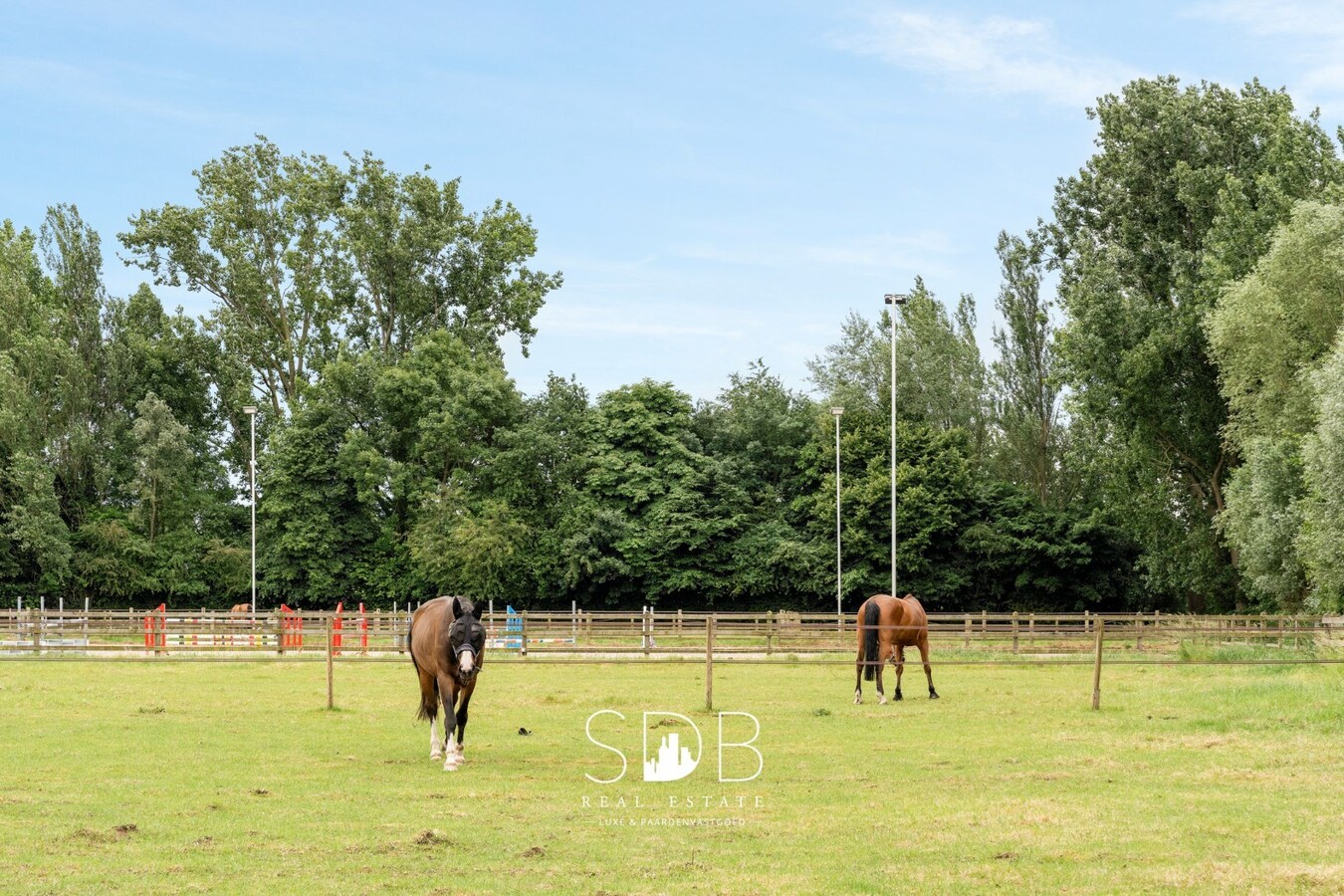 Prachtige villa met hippische accommodatie en graslanden op +/- 9 ha 