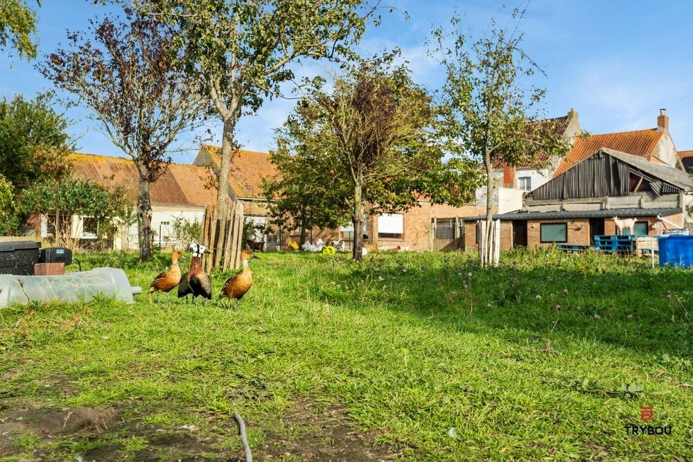 Centraal gelegen starterswoning op ruim perceel van 1658 m² 