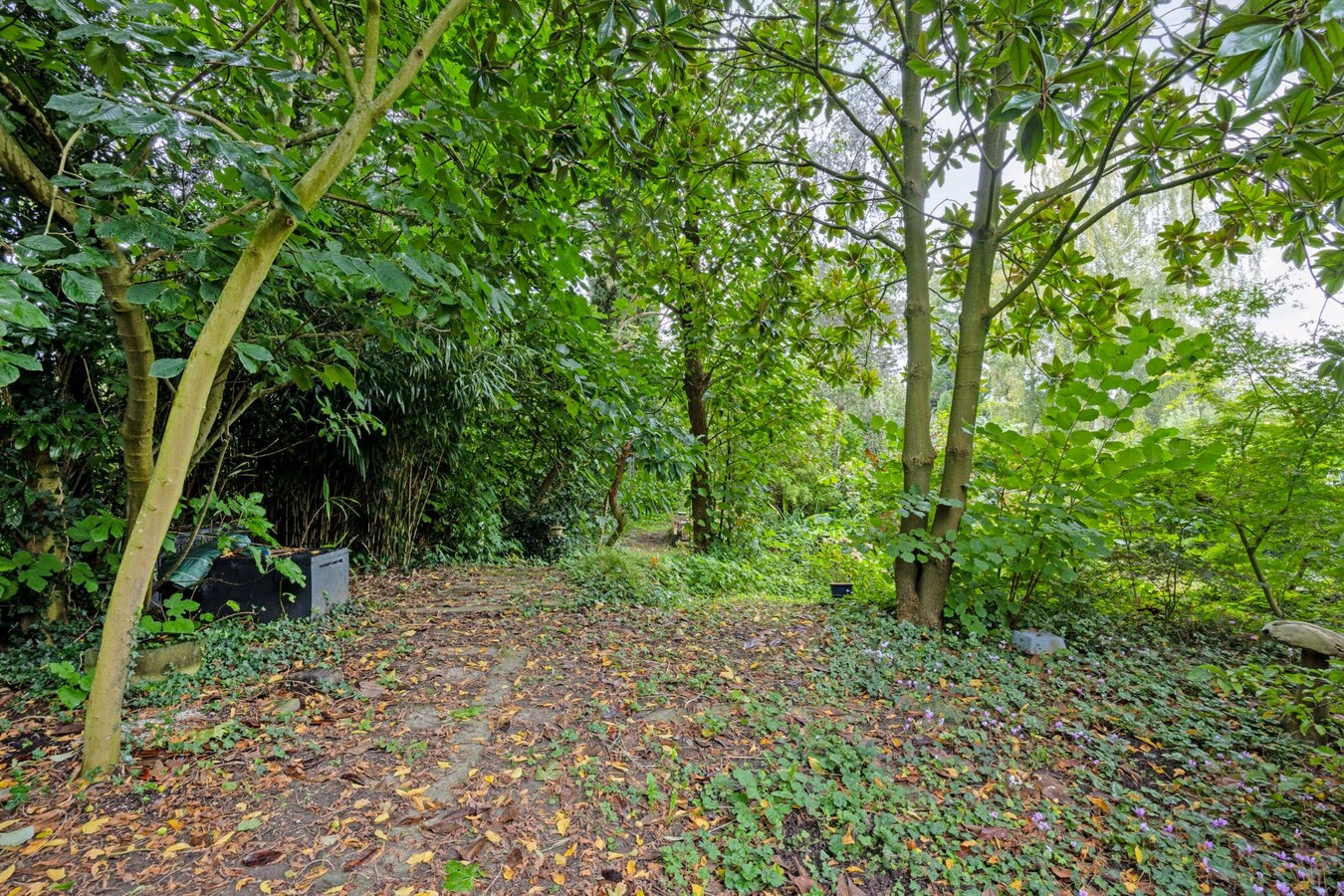 Prachtig HERENHUIS met authentieke elementen te Kortenberg 