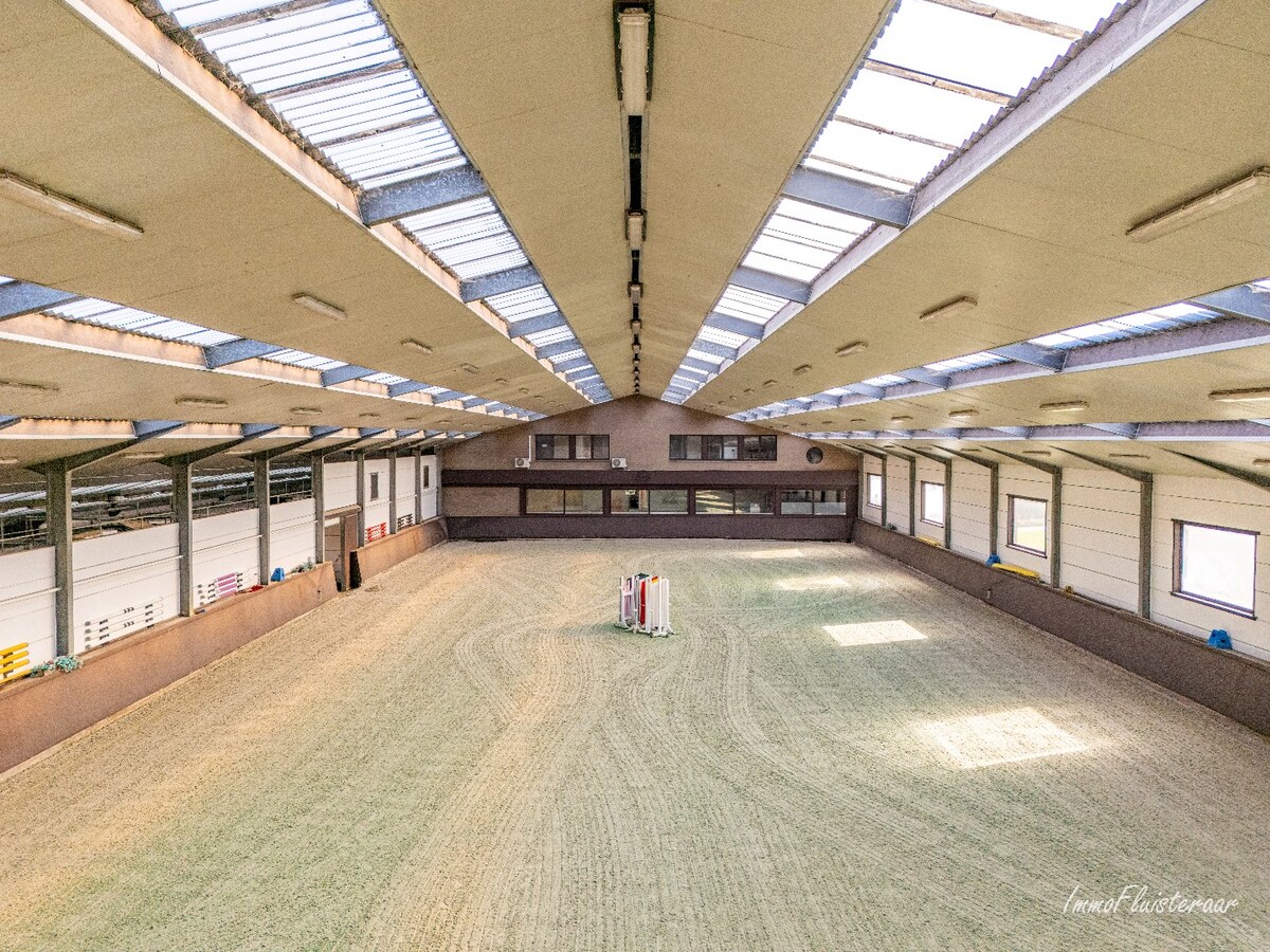 Volledig uitgeruste paardenaccommodatie op ca. 4,2 ha nabij Herentals 