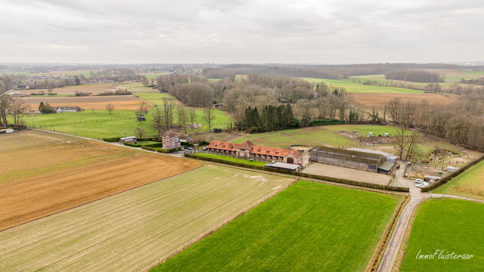 Magnifique complexe équestre avec maison d'entreprise, environ 33 écuries et une piste intérieure sur plus de 5,6 hectares à Bever (Brabant flamand). 