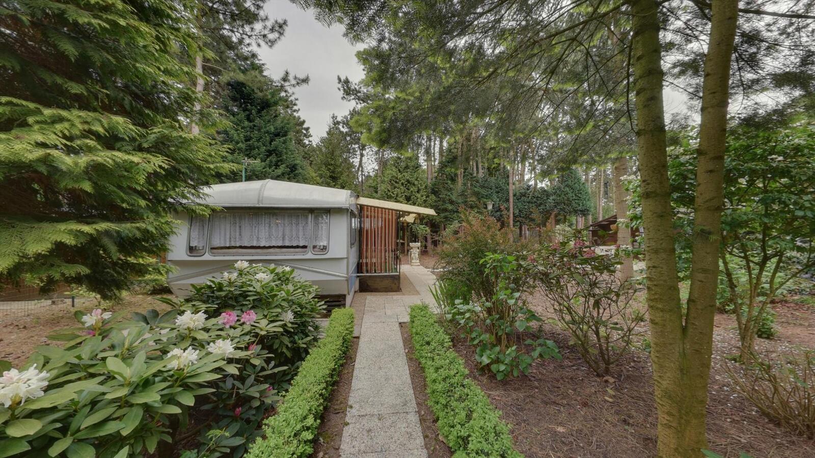 Prachtig stuk bosgrond 