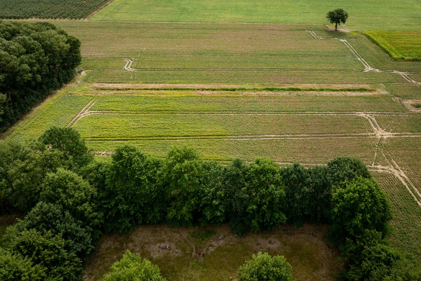 Karaktervolle hoeve met weides op ca. 2ha te Herk-de-Stad 