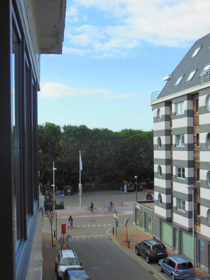 Opbrengsteigendom te Bredene 