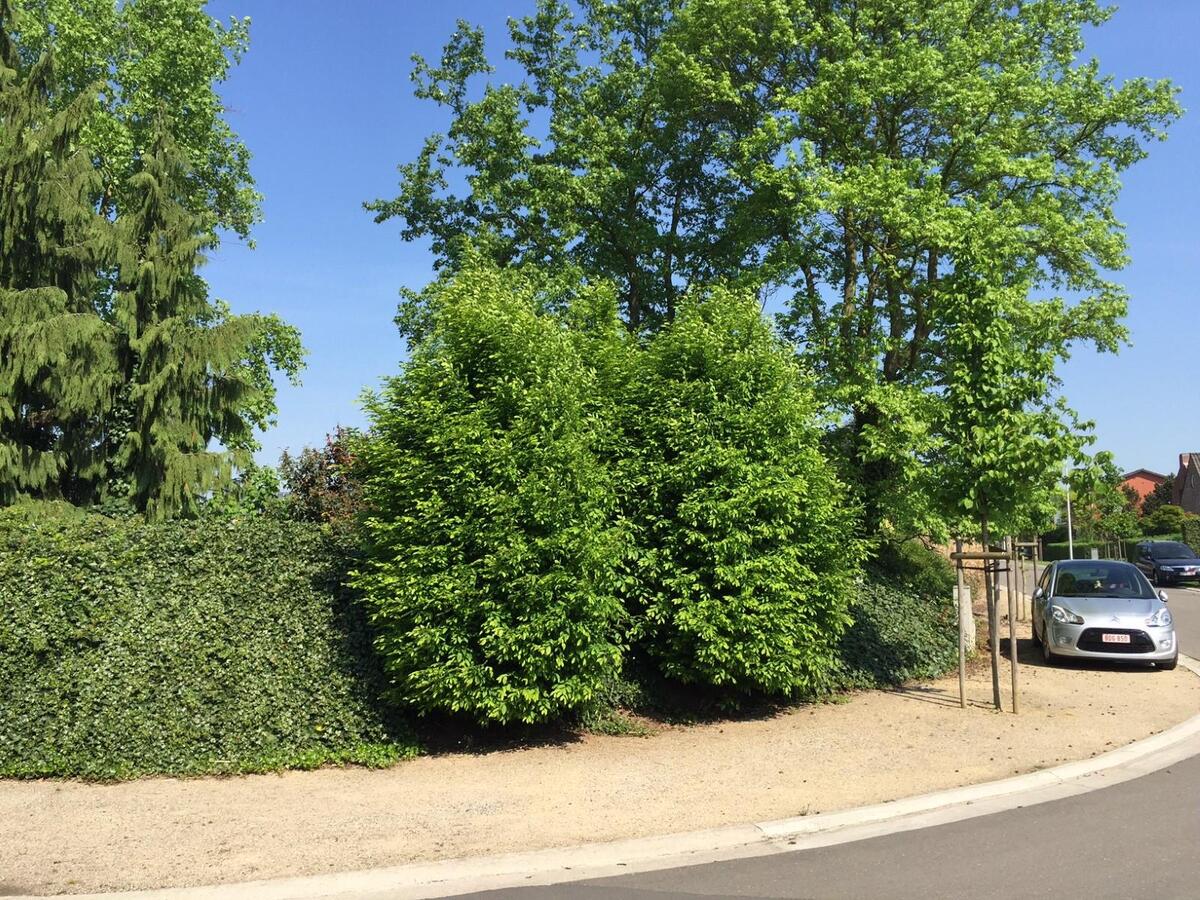 Bouwgrond van 5a75ca voor een open bebouwing 