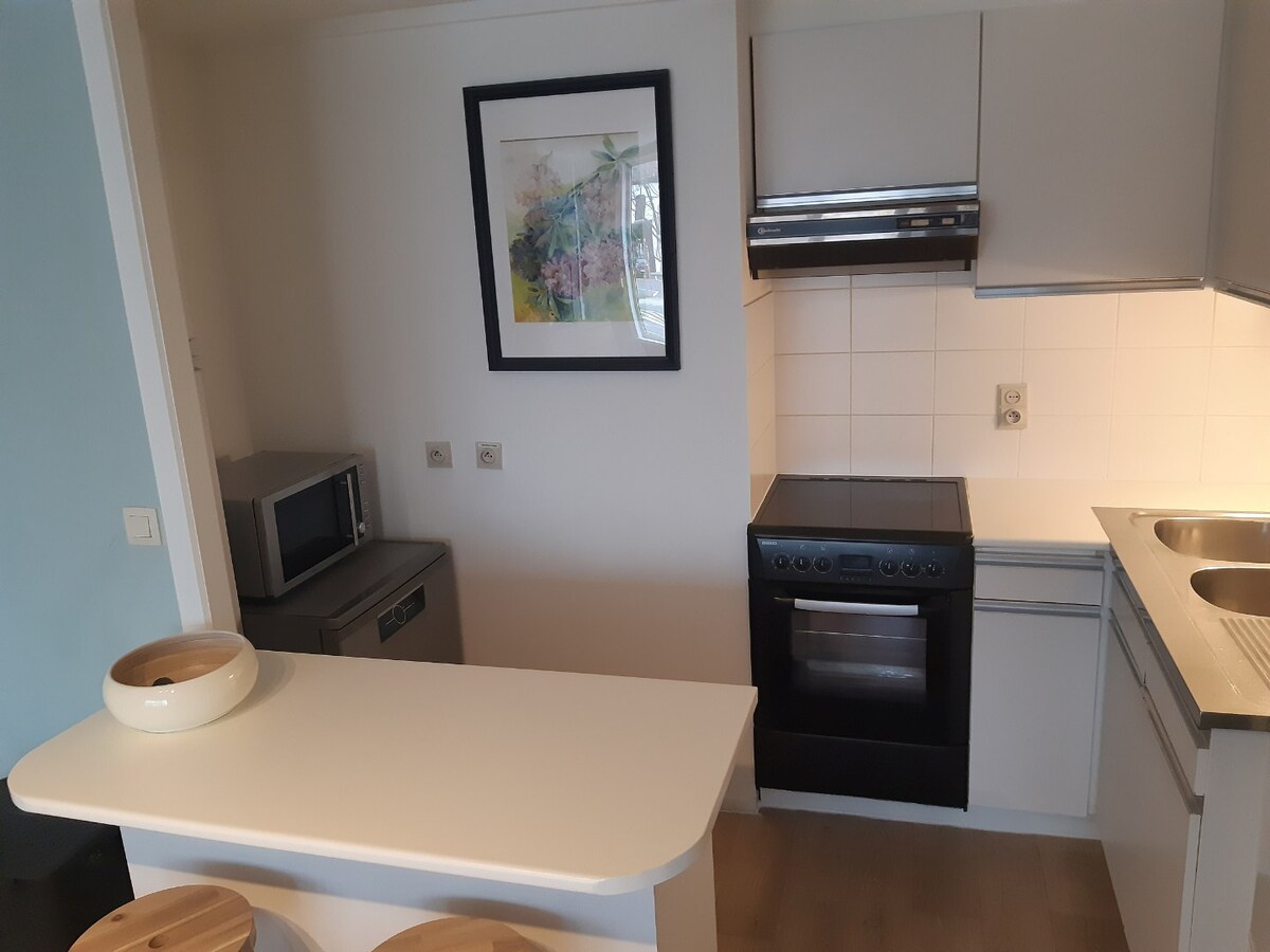 Ruim en lichtrijk appartement - centrum Gavere. 