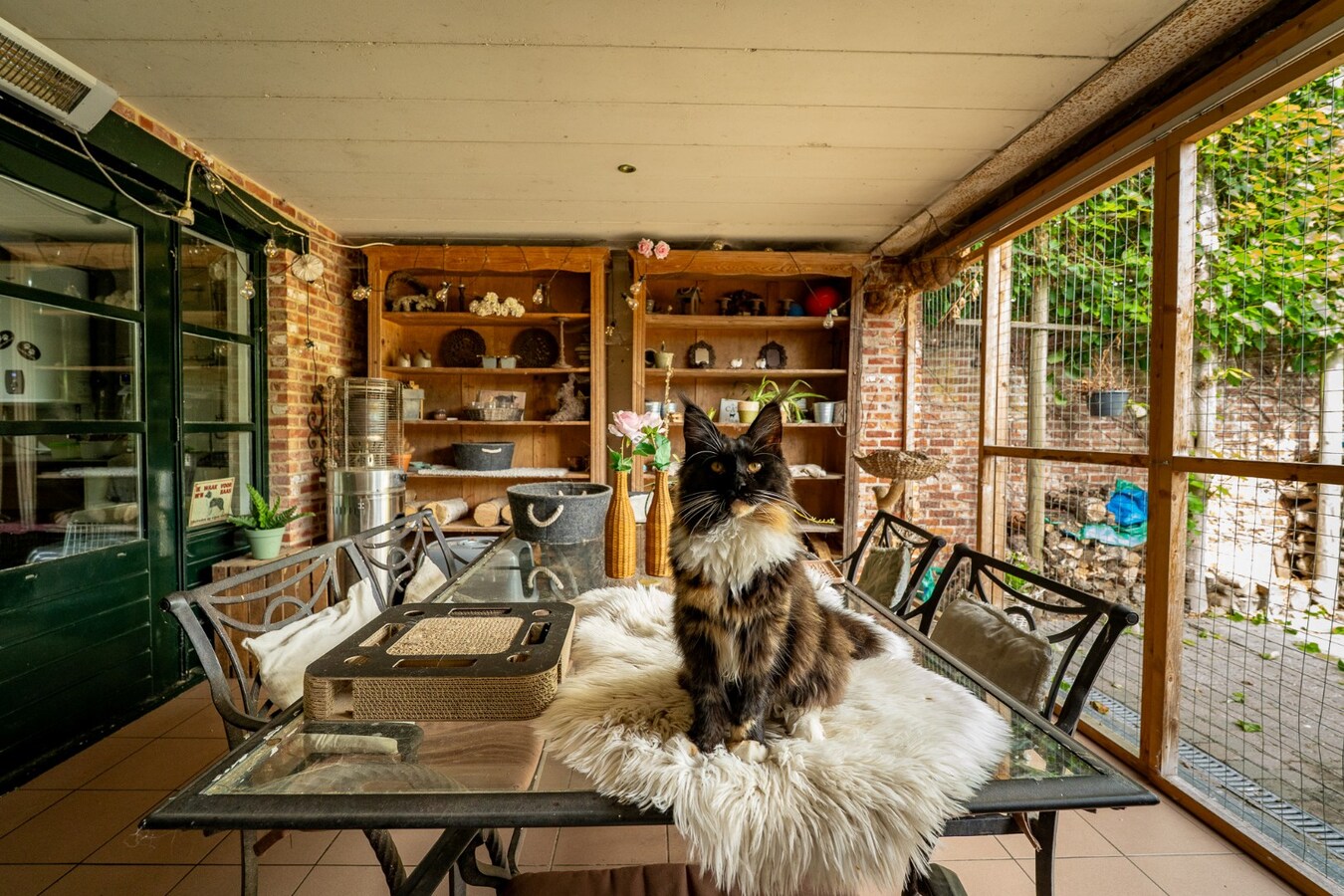 Quietly located house with a meadow of approximately 55 acres in Herk-de-Stad 