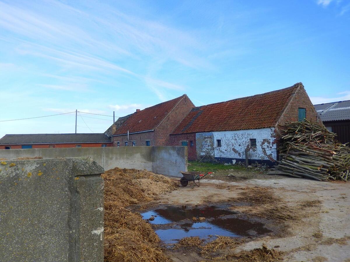 Te renoveren hoeve met stallen en weiland 