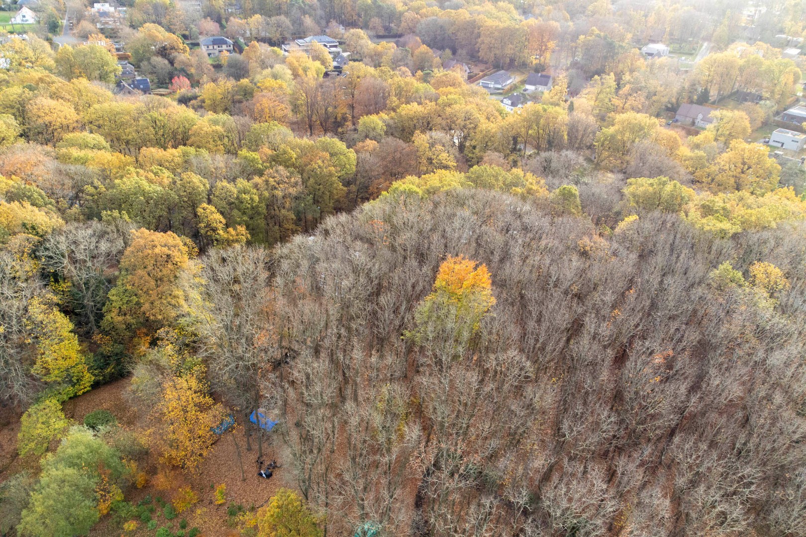 Prachtige bouwgrond van 22a 63ca te koop op een toplocatie in Hoog-Linden! 