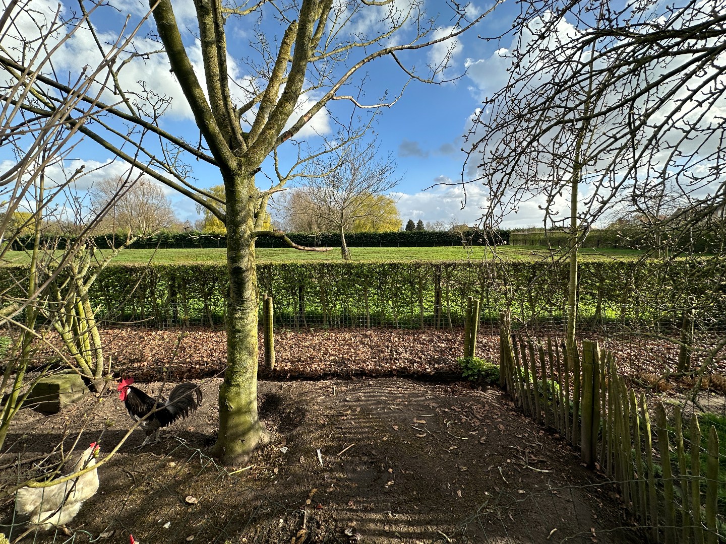 Vrijstaande woning met mooie tuin, perceel van 1158 m², Torhout. 