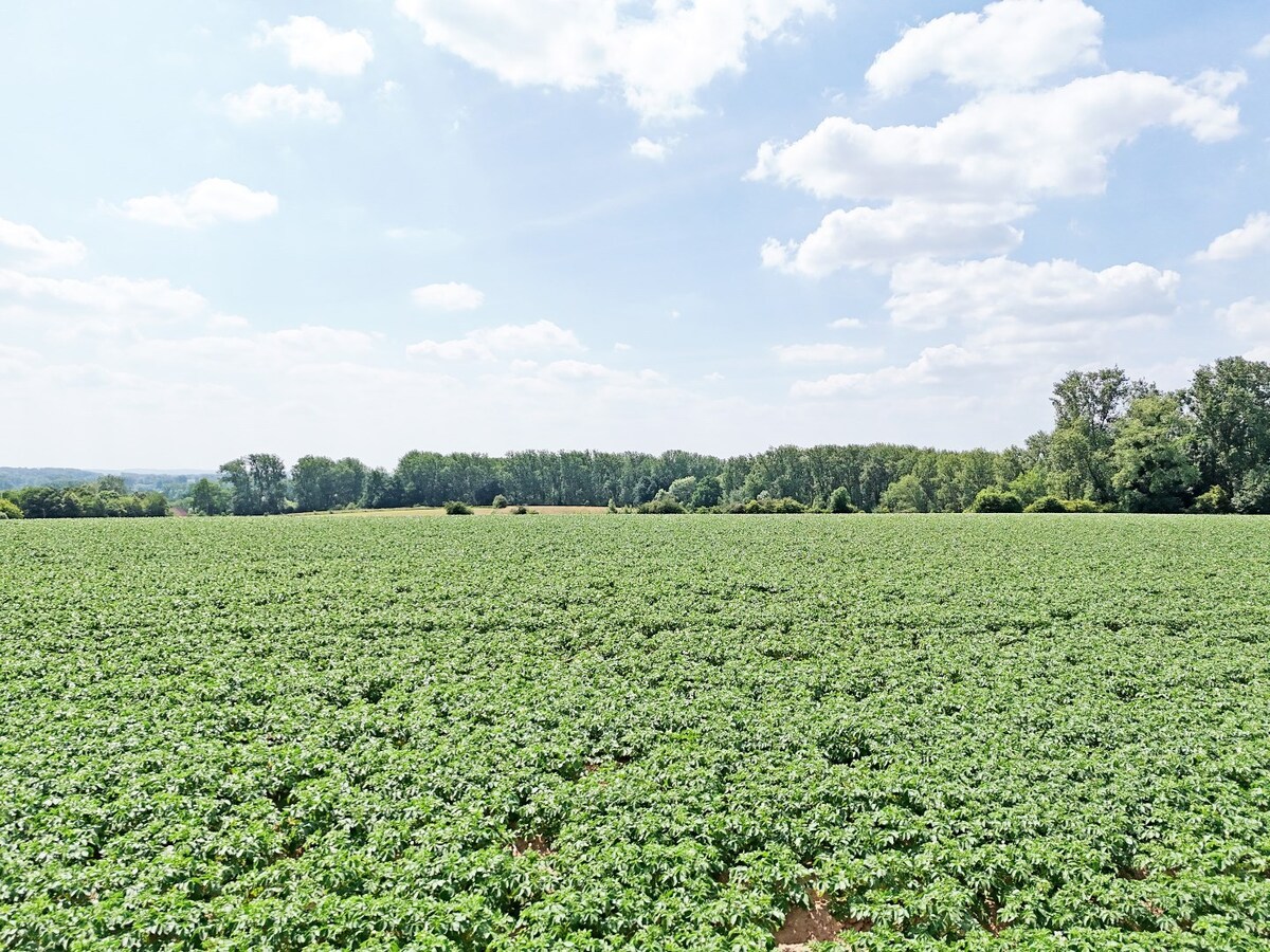 Te renoveren/te slopen handelshuis op 11 are te Sint-Antelinks 