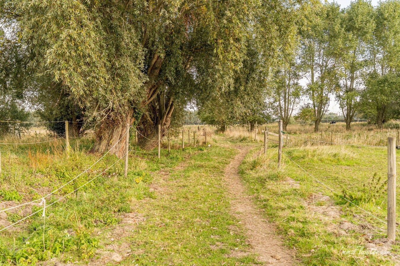 Charmante woning met stallen, buitenpiste en weide  op ca. 2 ha te OUDENBURG 
