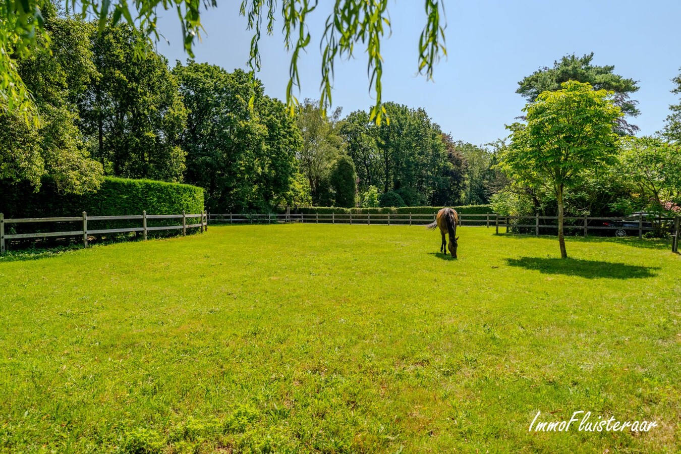 Exclusief eigendom met twee volwaardige, zelfstandige villa-woningen, een conciërgeverblijf en luxueuze paardenfaciliteiten op ruim 2 ha te Brasschaat 