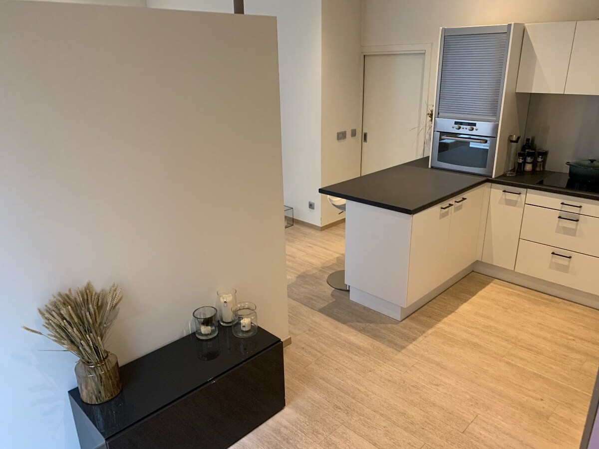 Hedendaags, gelijkvloers appartement in het centrum van Maaseik! 