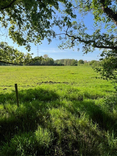 Prachtig weiland van ca. 2,5 ha te Zandhoven 