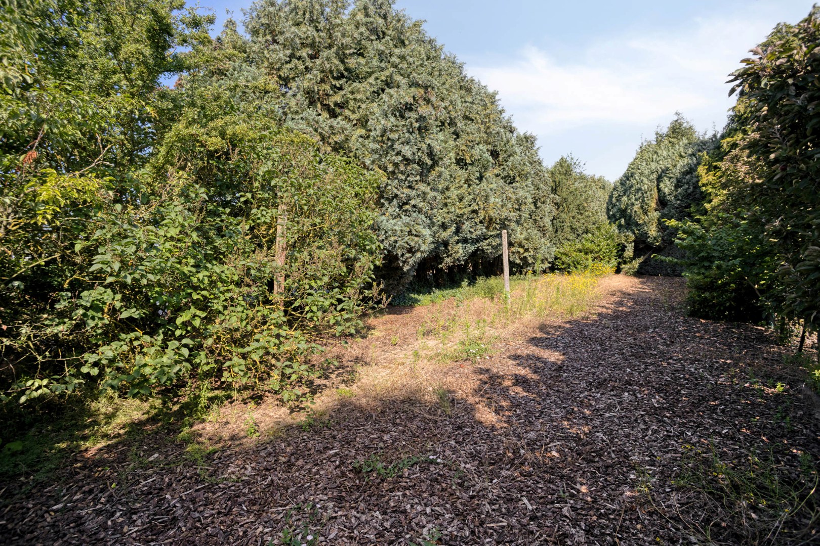 Ingang tuin vanaf straat 