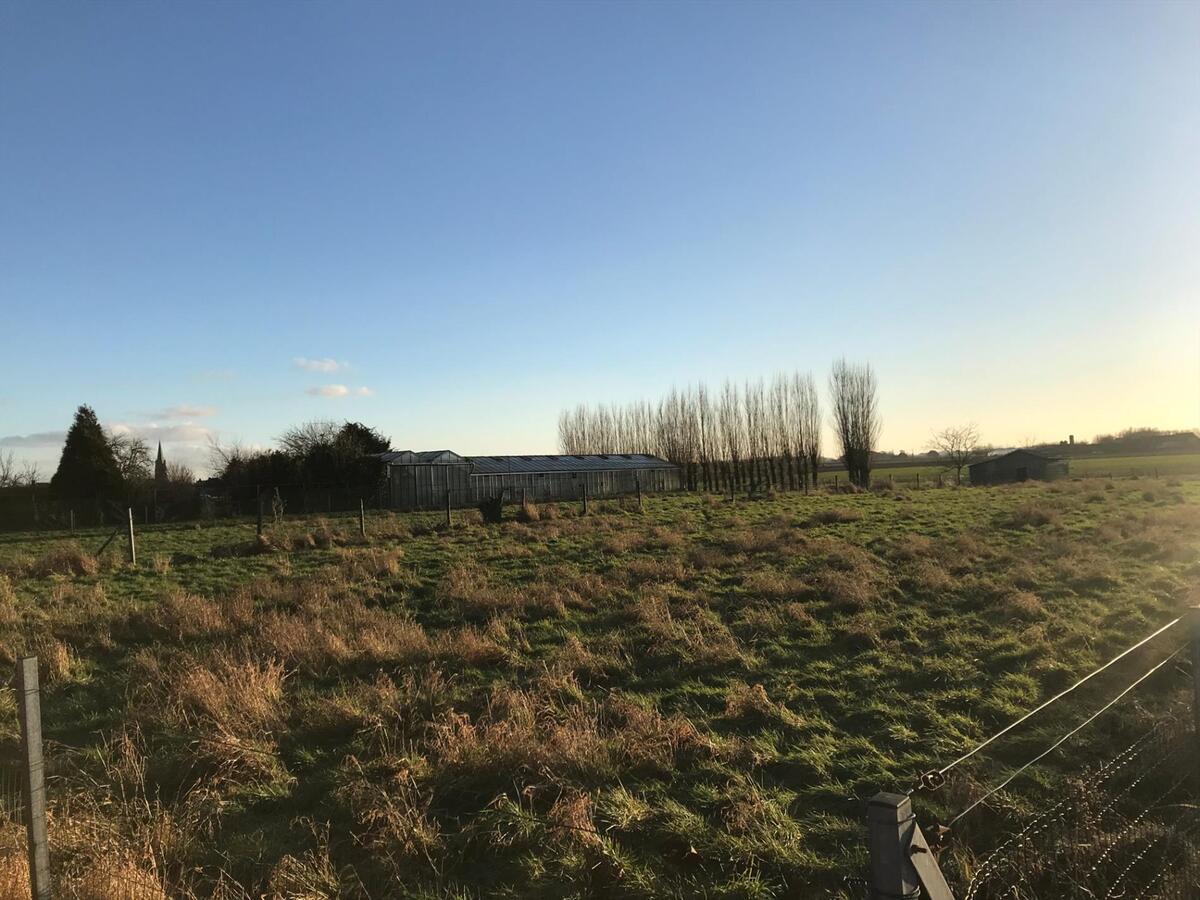 Landelijk gelegen woning met bijgebouwen op 9070m² 