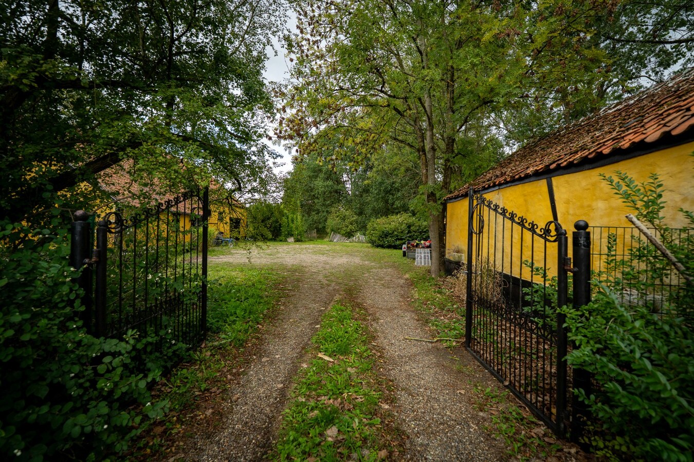 Authentic farm with meadow on approximately 1ha in Ham 