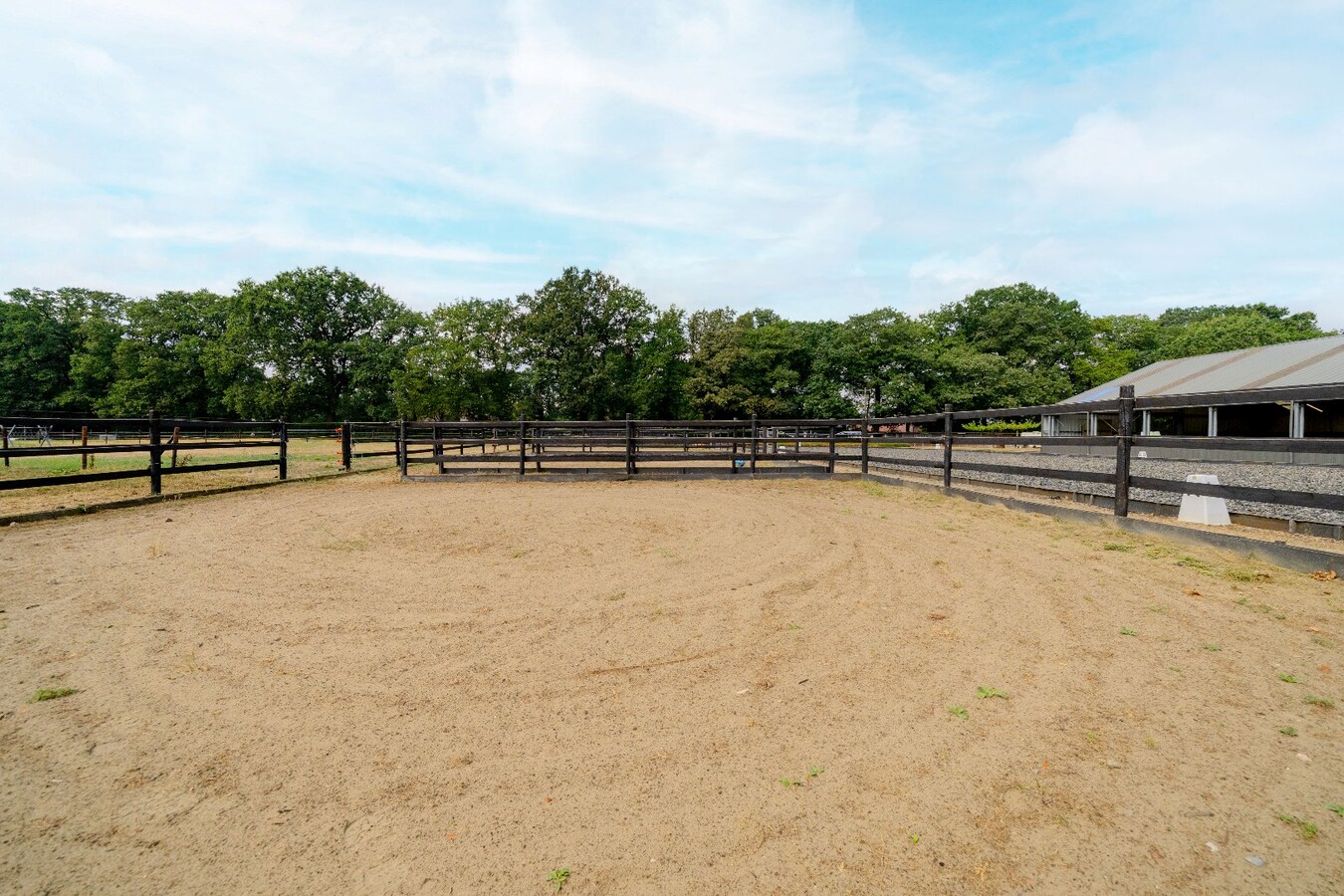 Prachtige paardenaccommodatie op ca. 3,2 ha te Wuustwezel 
