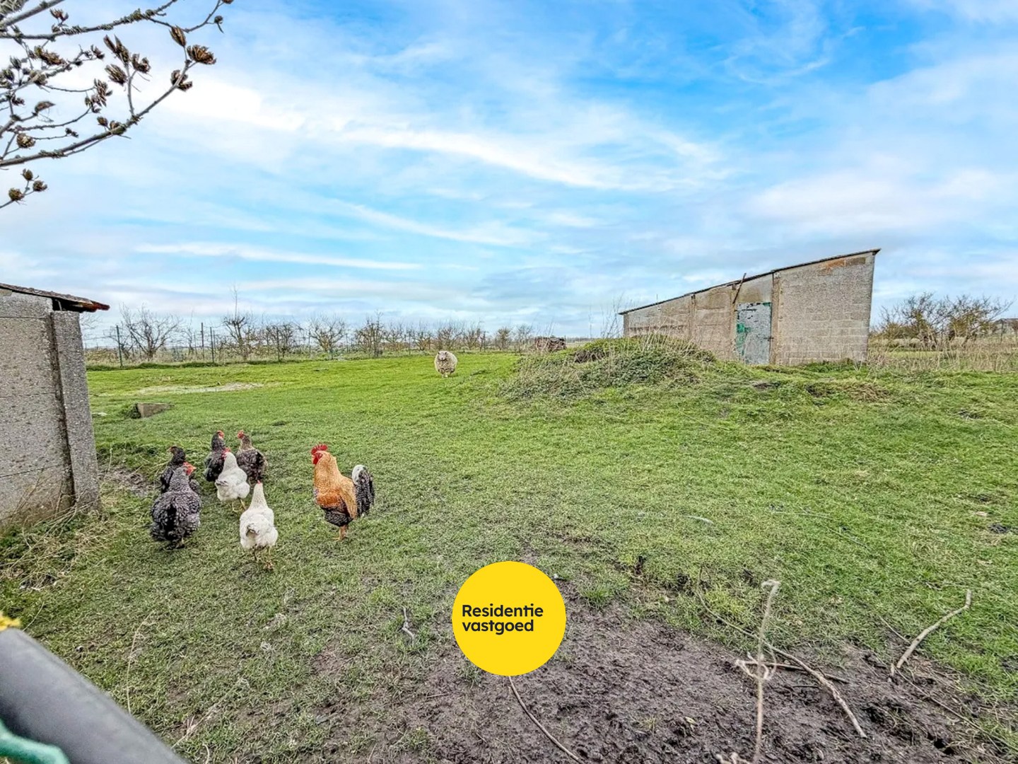 Recente open bebouwing (2019) op een perceel van maar liefst 44.888 m² 