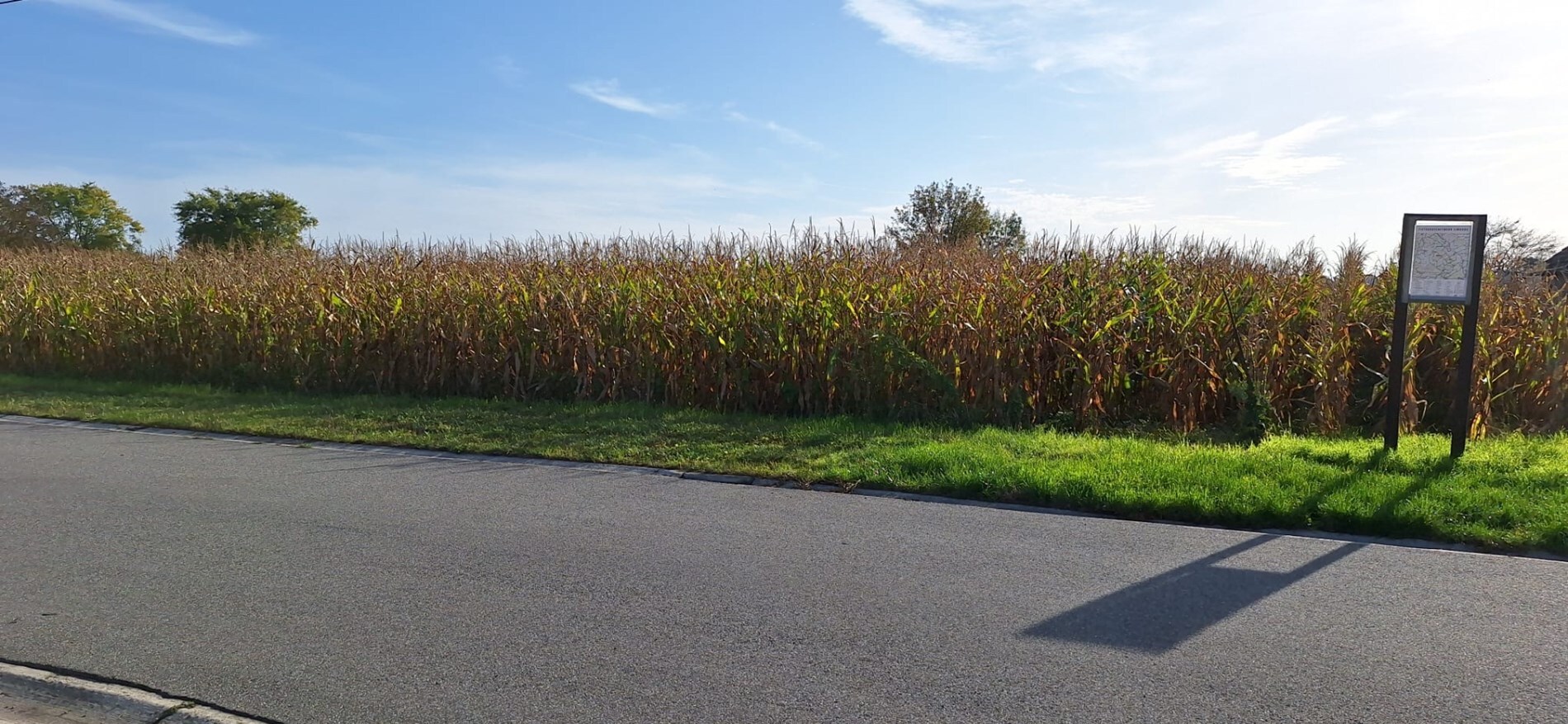 Terrain à bâtir avec des terrains adjacents d'environ 2,5 ha à Wijshagen (Oudsbergen) 
