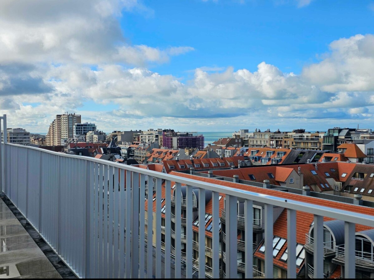 Penthouse wit a unique terrace 