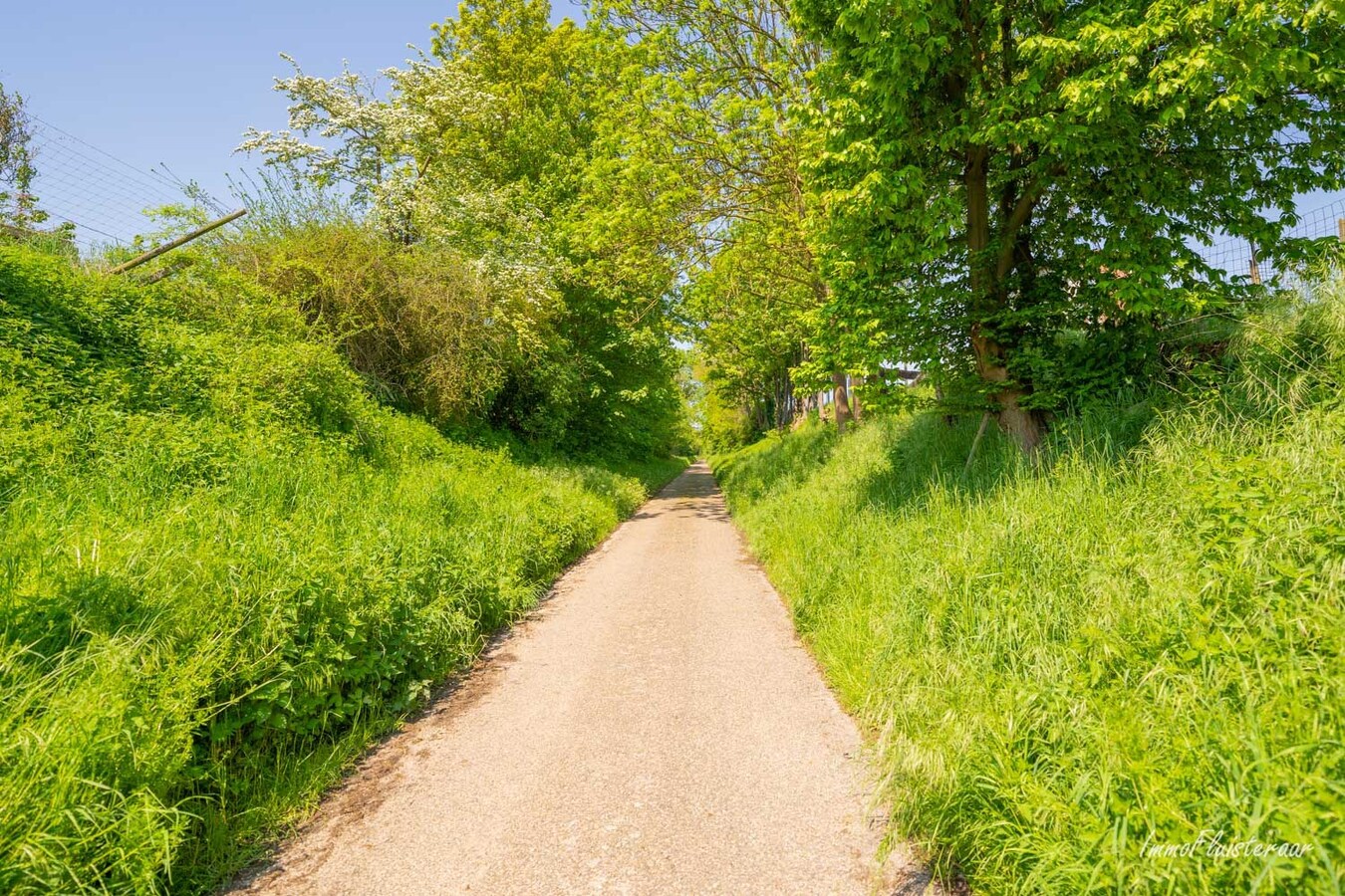 Ferme carrée à rénover sur environ 60 ares à Borlo (Gingelom) 