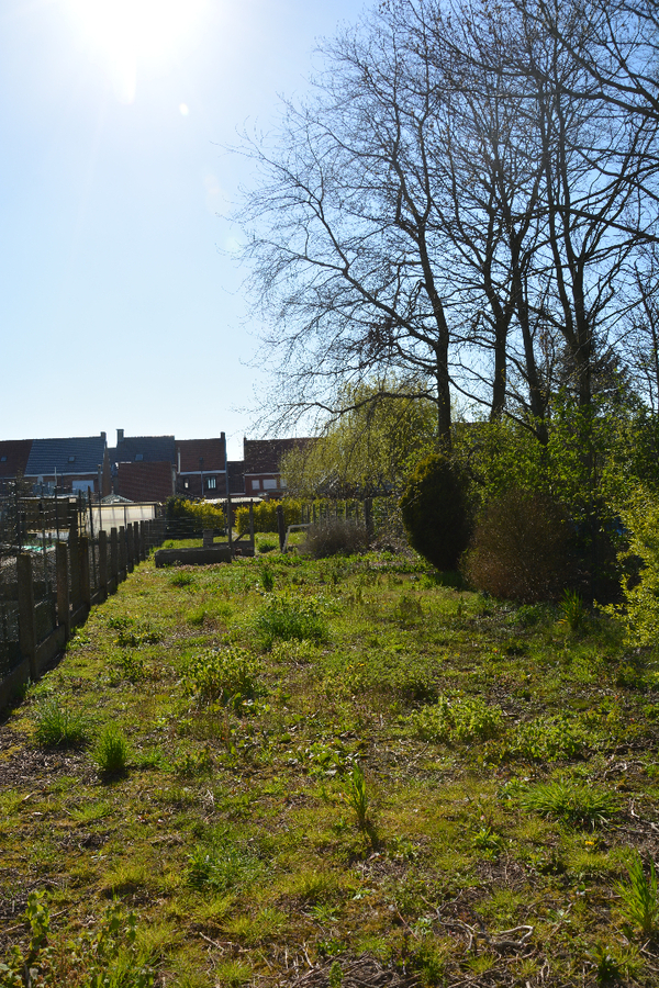Toffe, op te knappen woning met grote tuin 