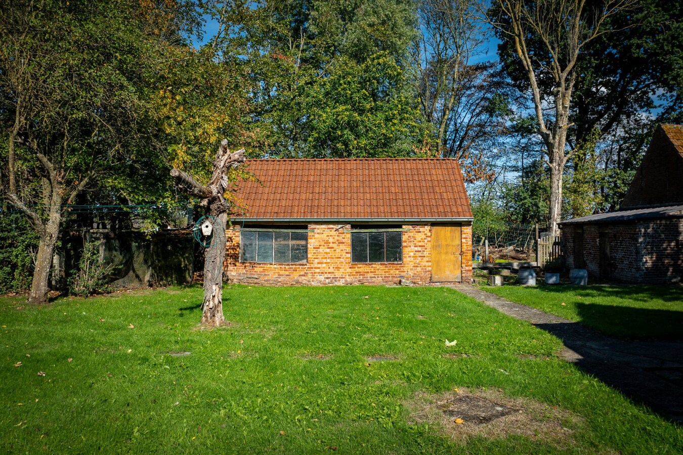 Renovated farmhouse with pasture on approximately 2 hectares in Veldegem. 
