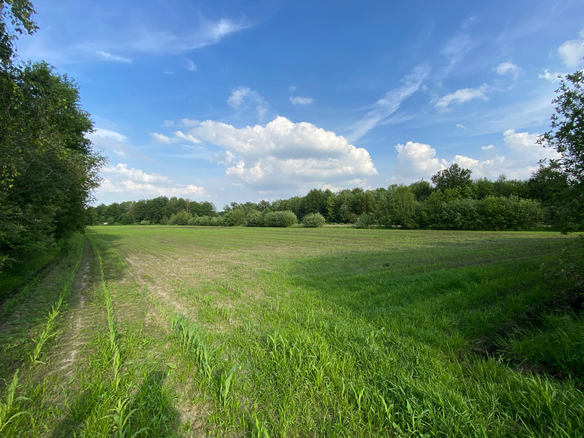 Verkocht weiland - Kasterlee