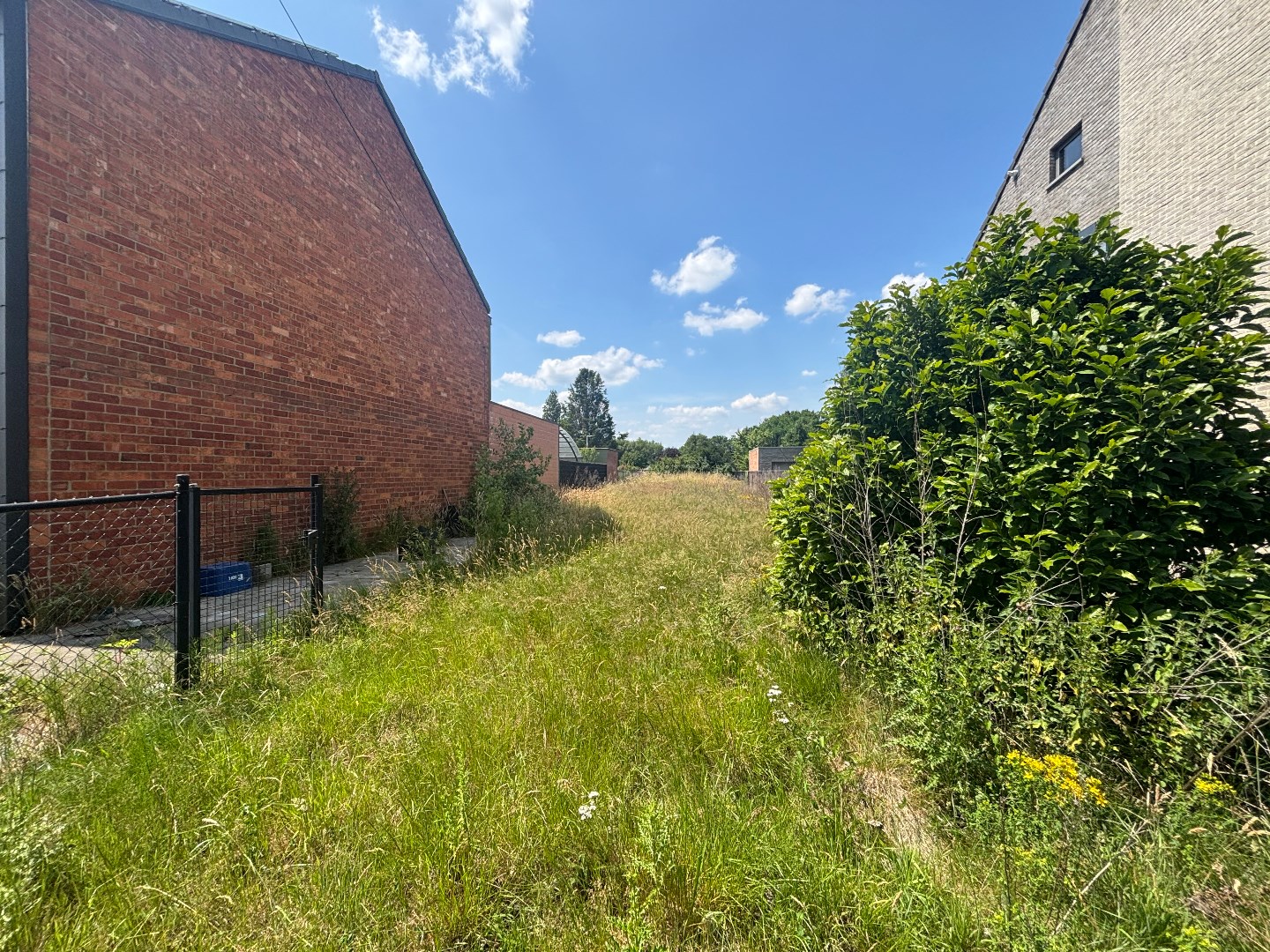 Bouwgrond van 6a 75ca voor halfopen bebouwing in Balen 