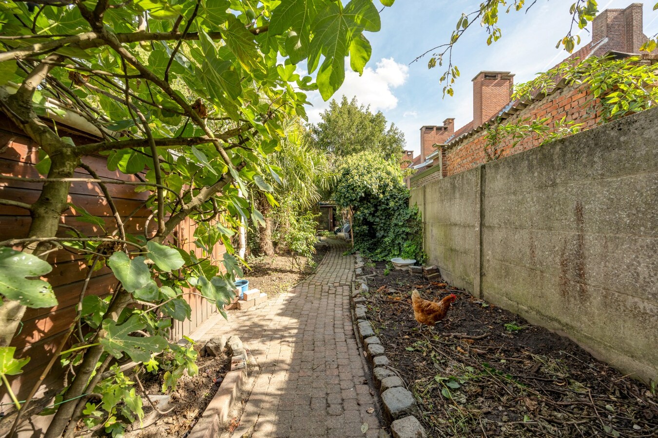 Charmante woning met tuin en garage te Hemiksem! 