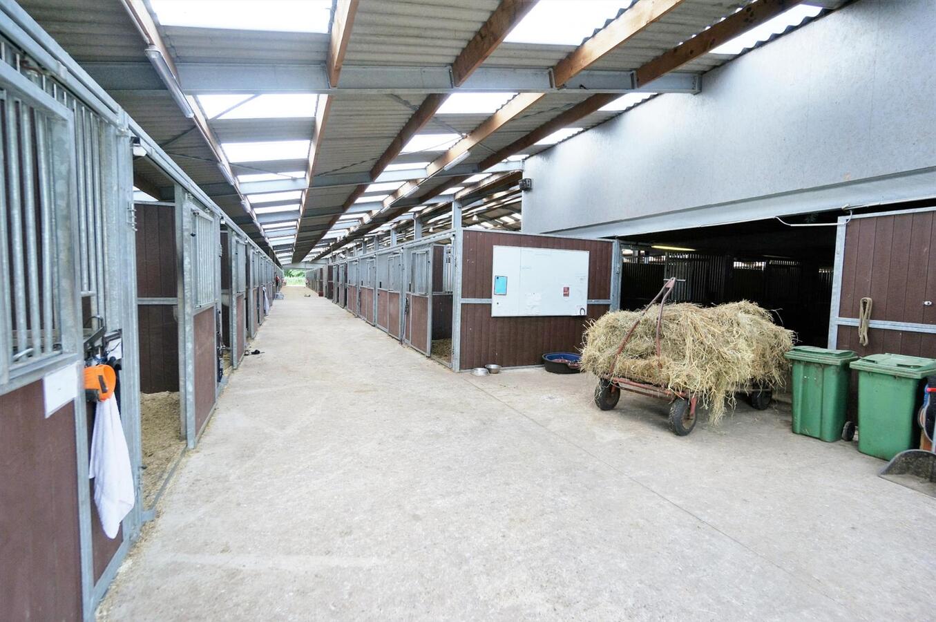 Ferme vendu À Merksplas