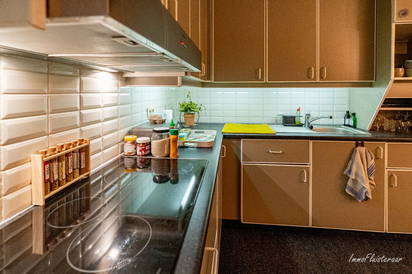 Complete paardenaccommodatie met studio op ca. 1,1ha te Bree 