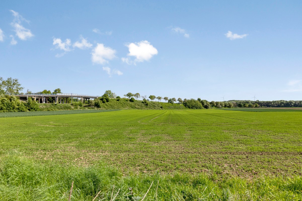 Instapklaar appartement, aangename omgeving randstad Tongeren 