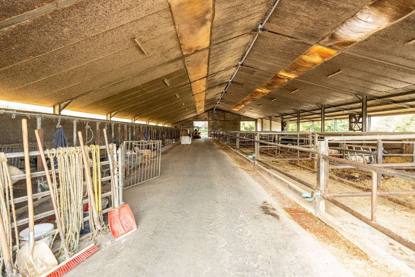 Prachtige villa met een ruim stalgebouw op ca. 2,2 ha te Dilsen-Stokkem 