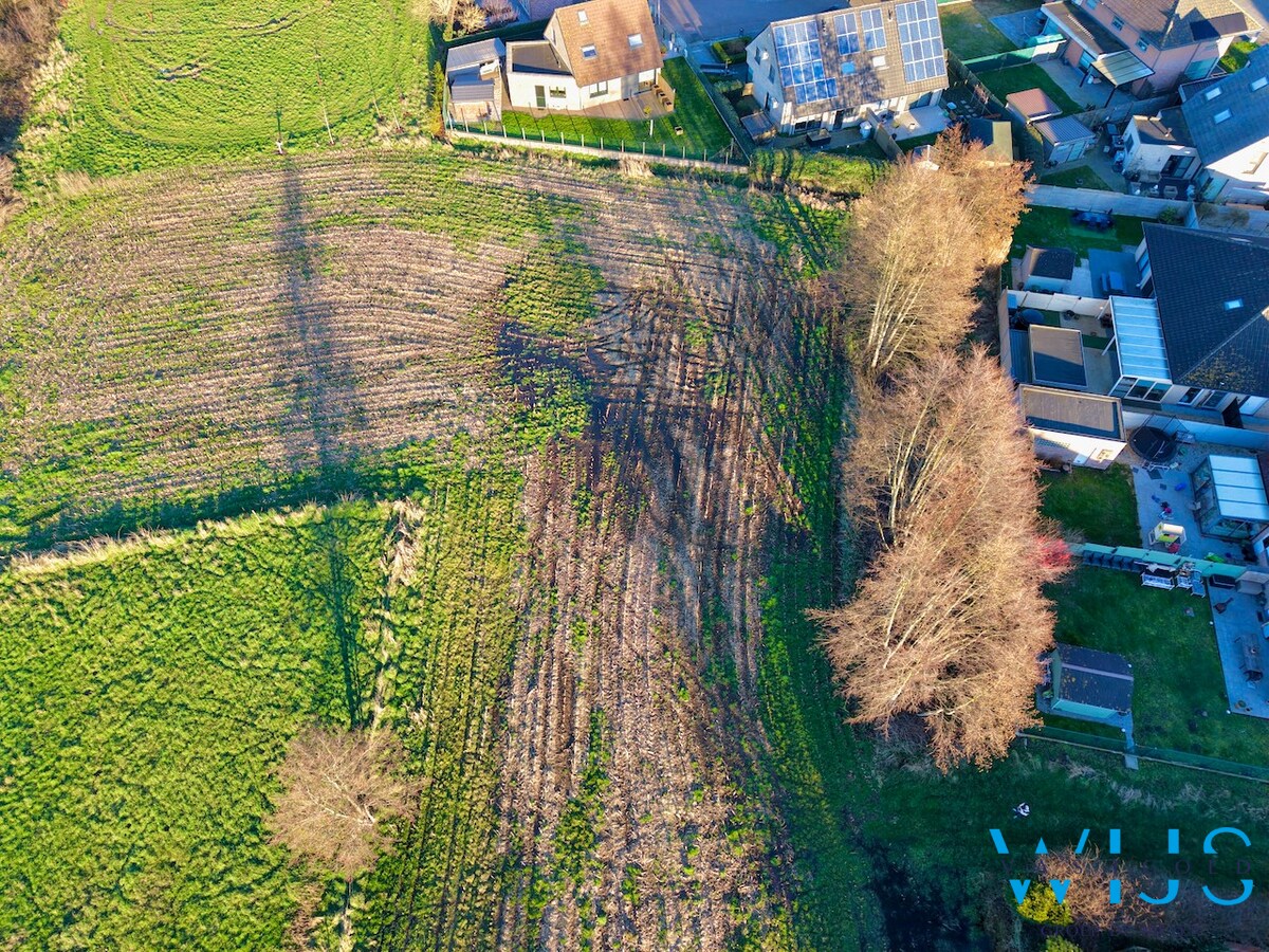 Projectgrond Rieme/Ertvelde 