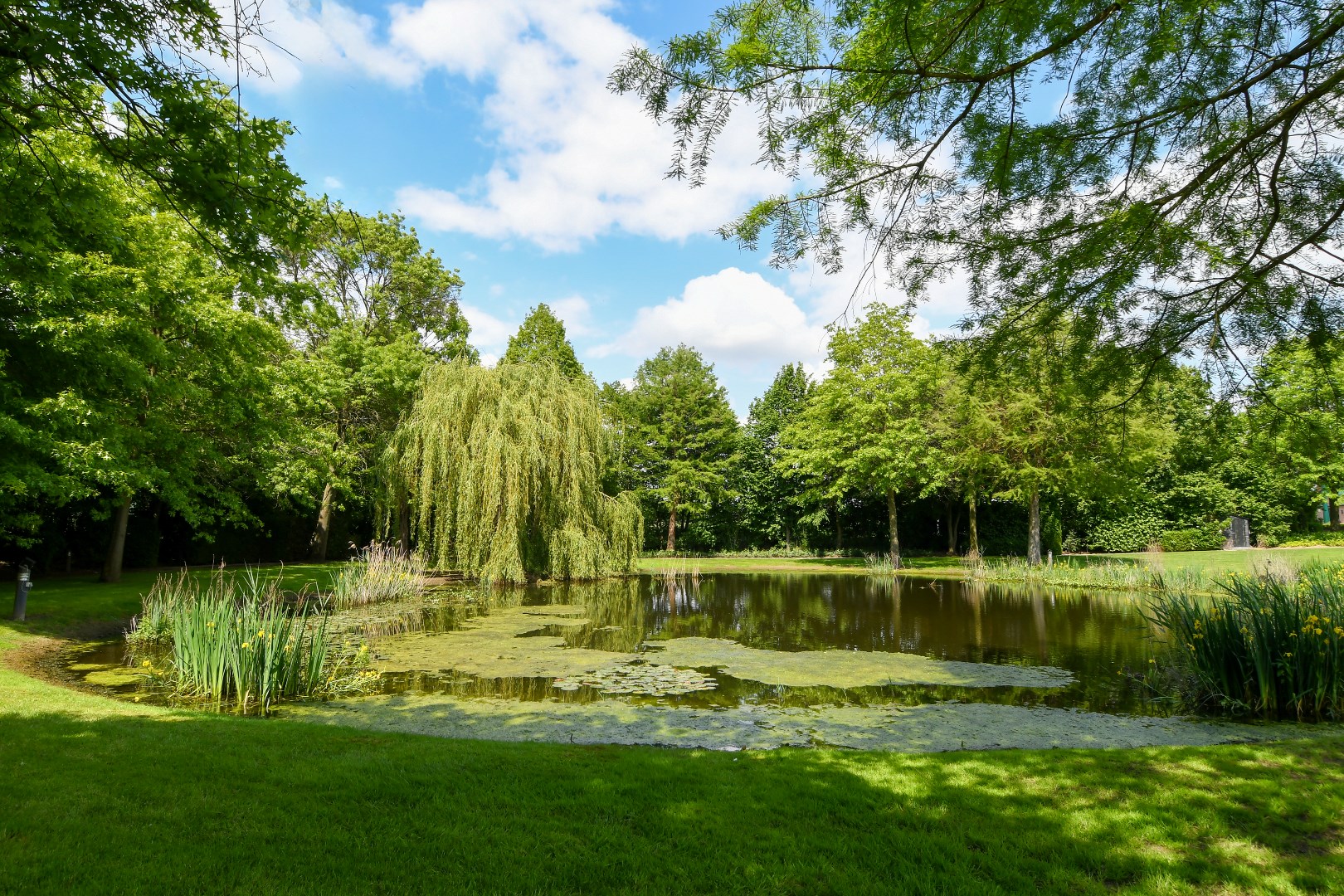 Idyllische tuin met vijver