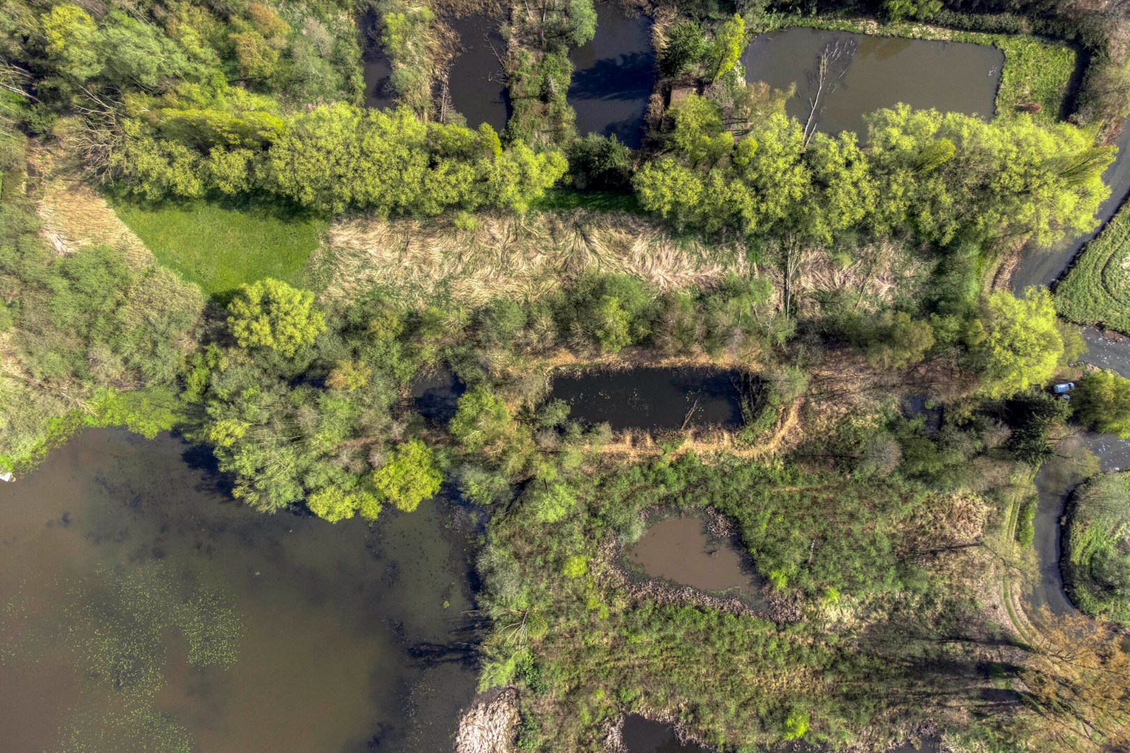 Prachtig perceel met vijvers op unieke ligging in Geel 