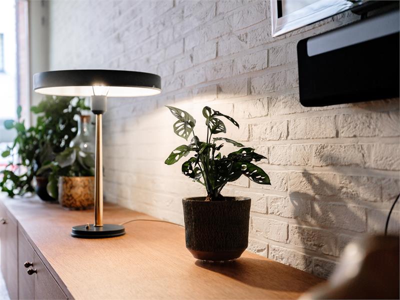 Instapklare stadswoning 